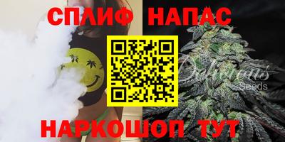прущие грибы Краснокаменск