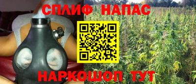 прущие грибы Краснокаменск