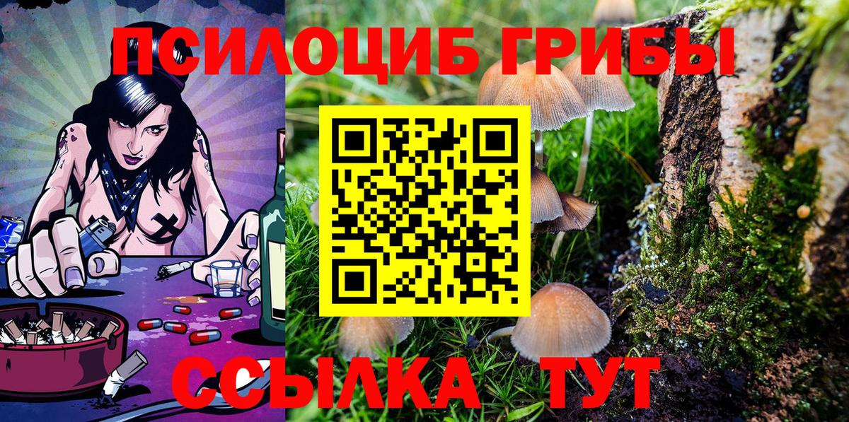 Псилоцибиновые грибы Psilocybine cubensis Ипатово