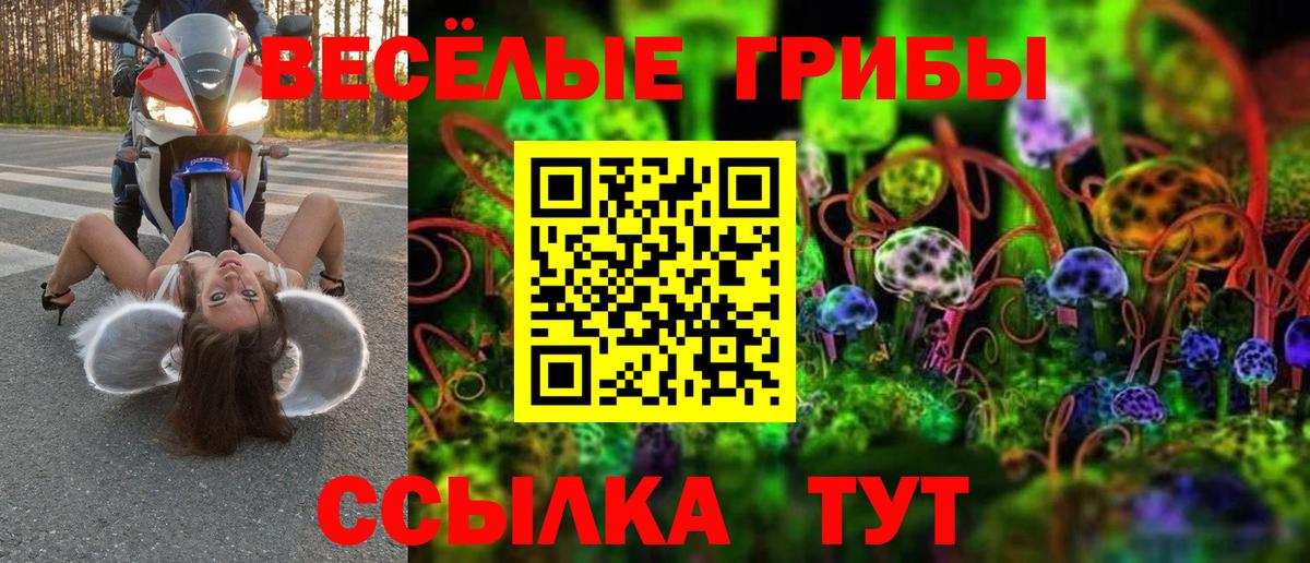 Галлюциногенные грибы MAGIC MUSHROOMS  Вход с VPN  Ипатово  Псилоцибиновые грибы ЛСД 